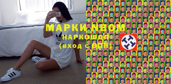 индика Армянск