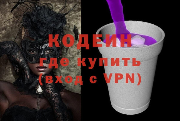 индика Армянск